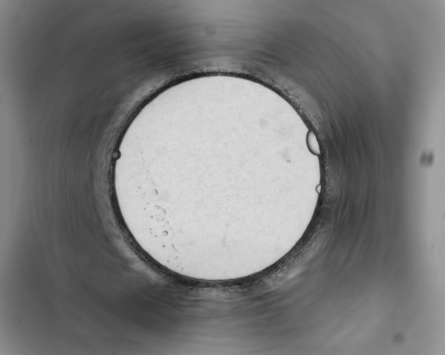 X0000102280625200808221305