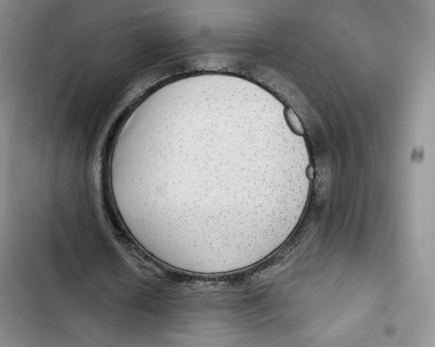 X0000102280626200808221305