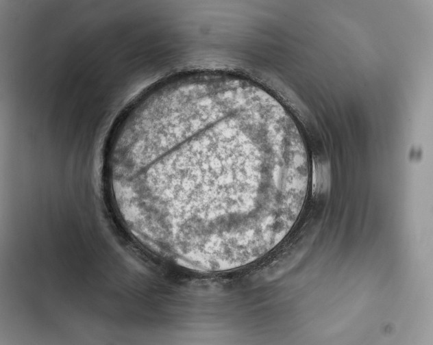 X0000102280627200808221305