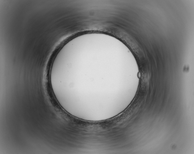 X0000102280628200808221305