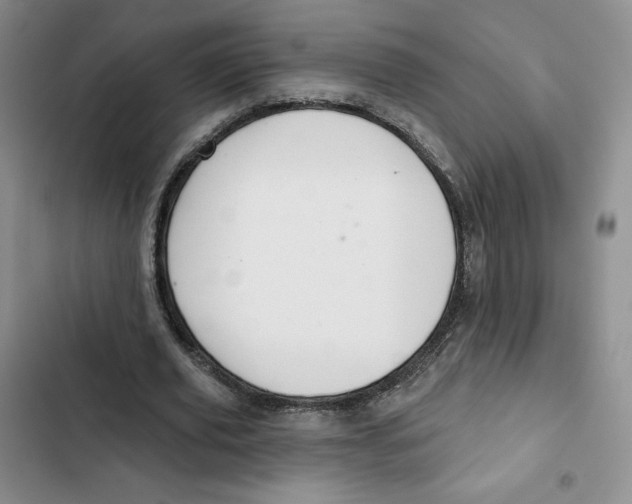 X0000102280629200808221305