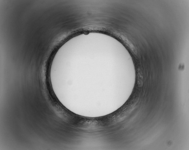 X0000102280631200808221305