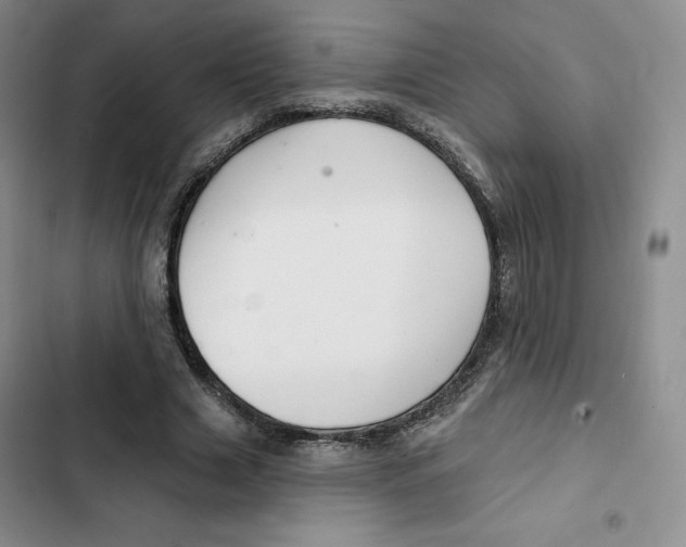 X0000102280633200808221305