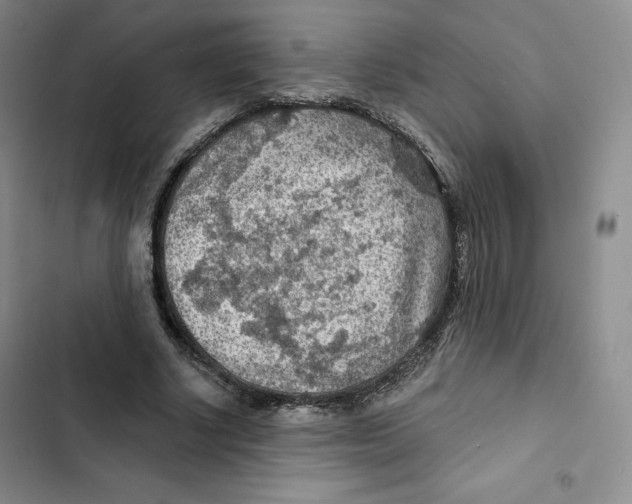 X0000102280634200808221305