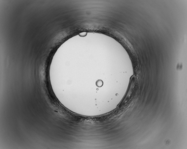 X0000102280635200808221305