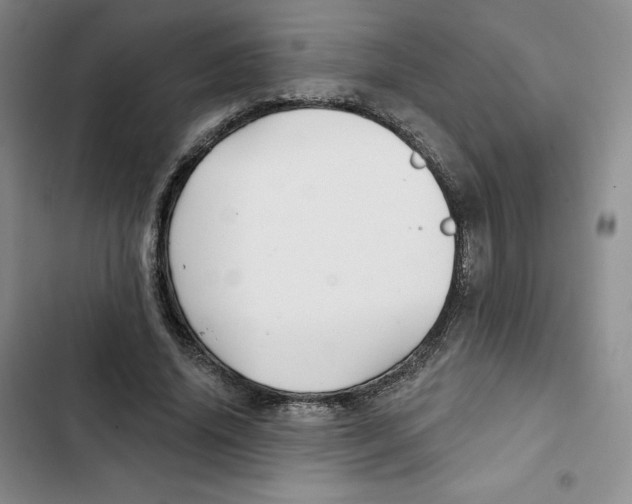 X0000102280636200808221305