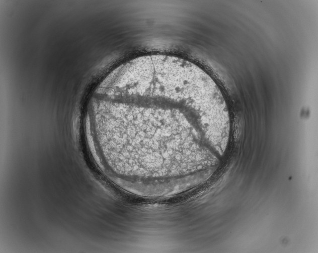 X0000102280637200808221305