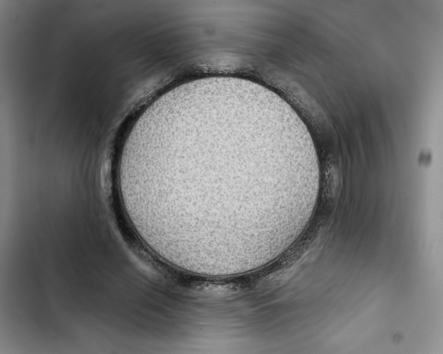 X0000102280638200808221305