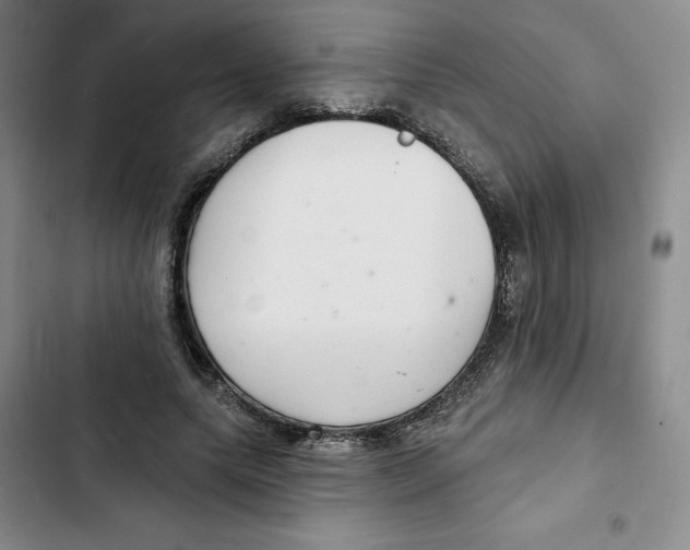 X0000102280639200808221305