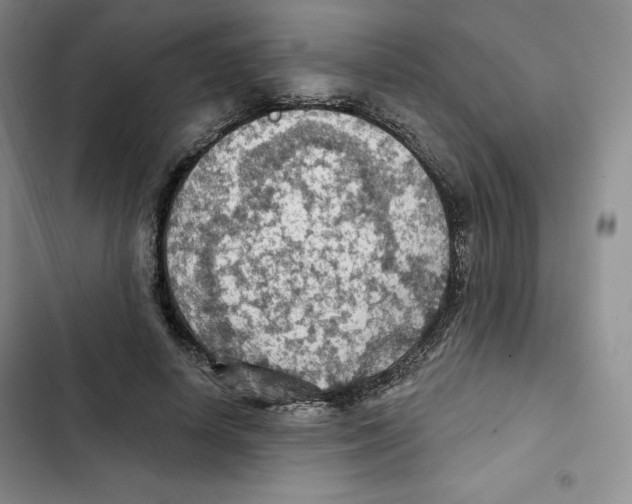 X0000102280642200808221305