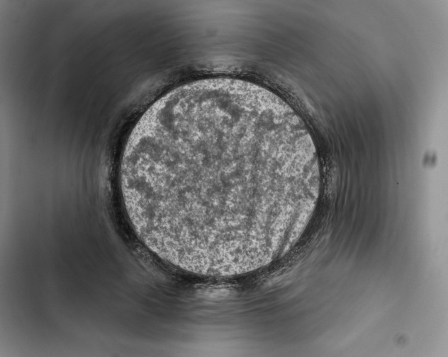 X0000102280643200808221305
