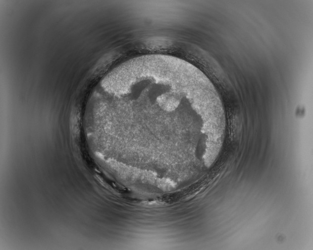 X0000102280644200808221305