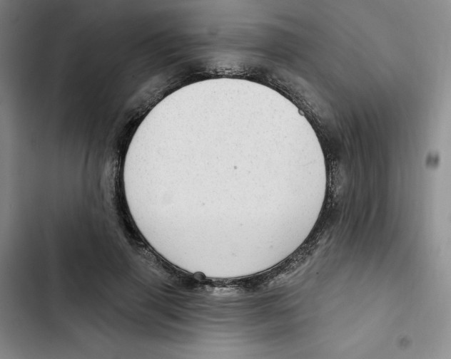 X0000102280645200808221305