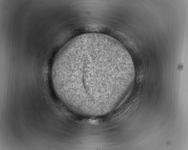 X0000102280647200808221305
