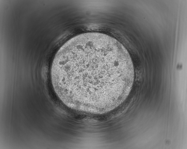 X0000102280648200808221305