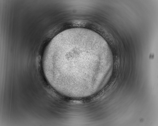 X0000102280649200808221305