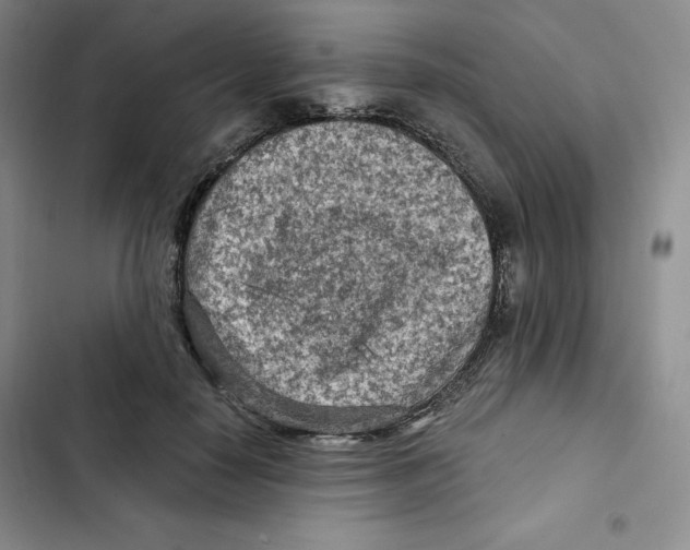 X0000102280650200808221305
