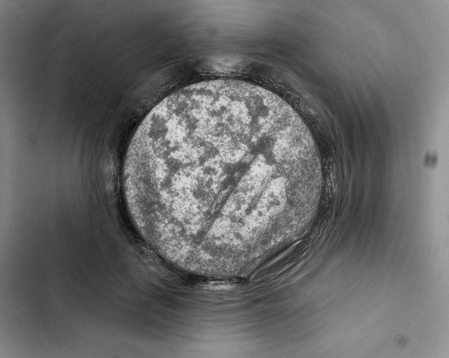 X0000102280651200808221305