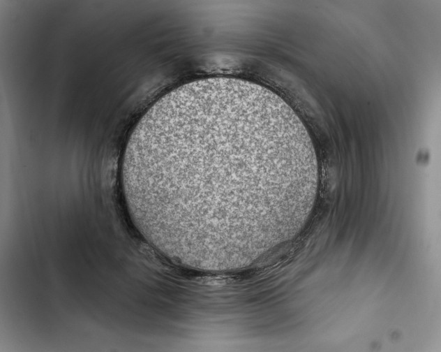 X0000102280652200808221305