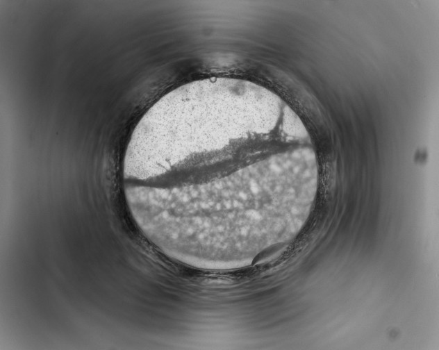 X0000102280653200808221305