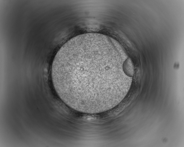 X0000102280655200808221305