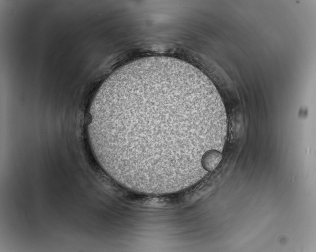 X0000102280656200808221305
