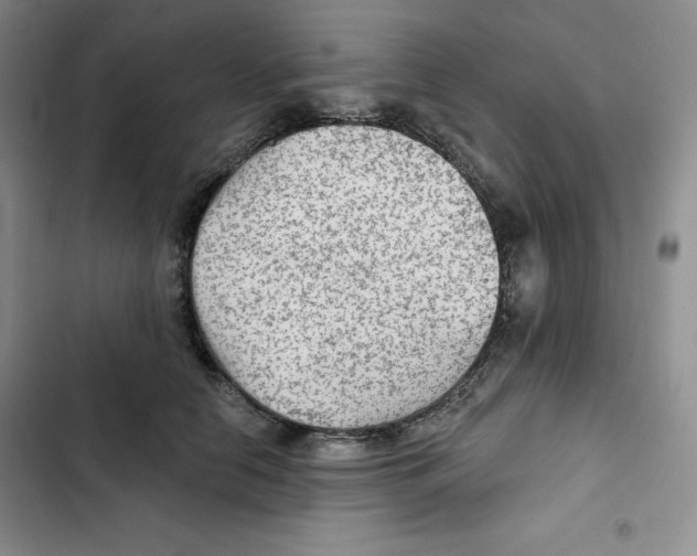 X0000102280658200808221305