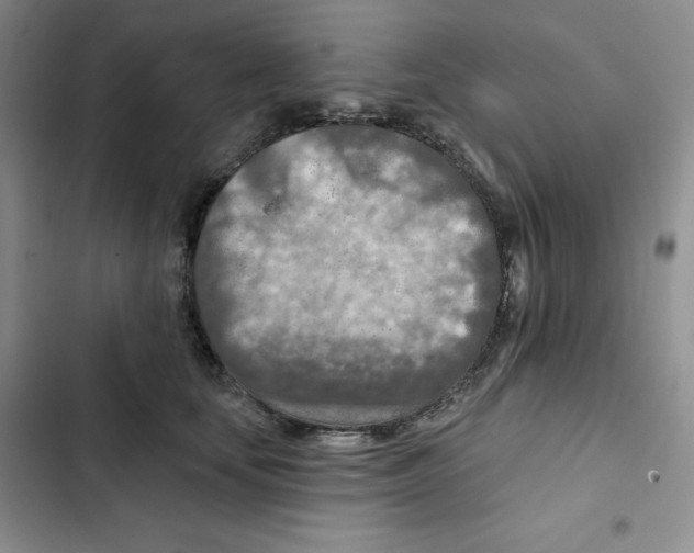 X0000102280659200808221305