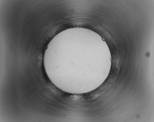 X0000102280660200808221305