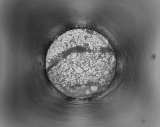 X0000102280661200808221305