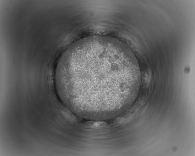 X0000102280663200808221305