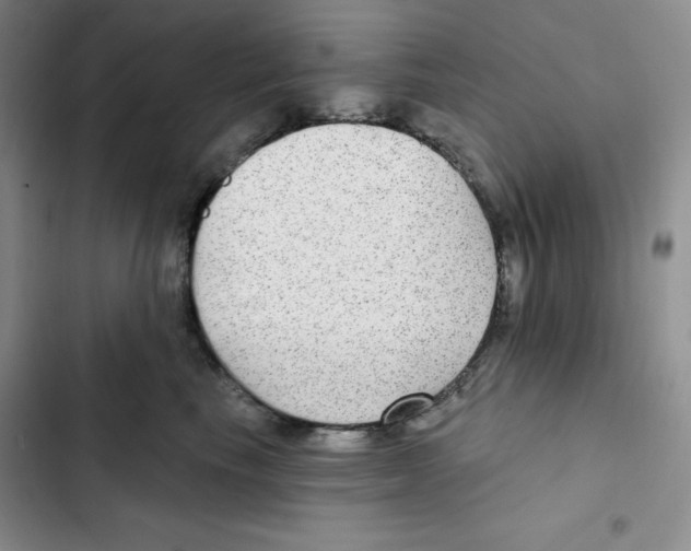 X0000102280665200808221305
