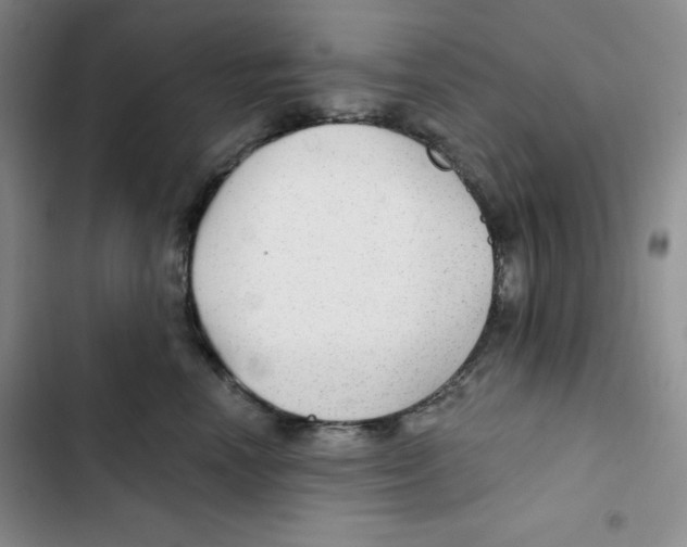 X0000102280666200808221305