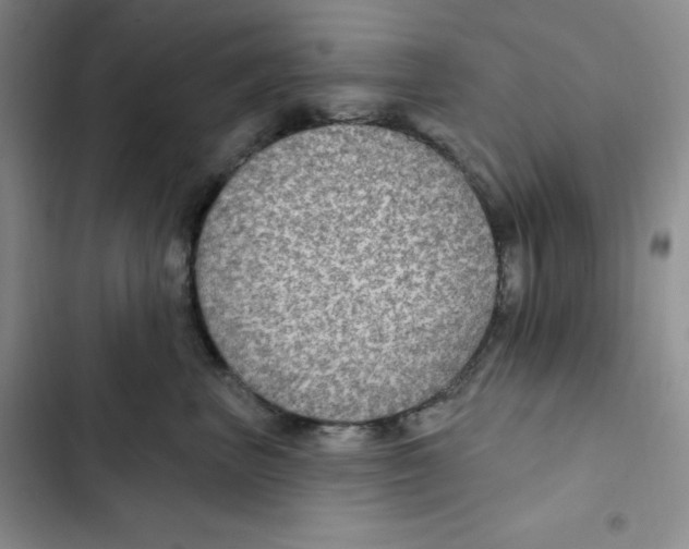 X0000102280667200808221305