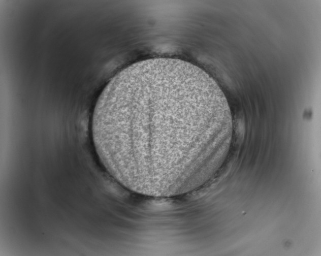 X0000102280668200808221305