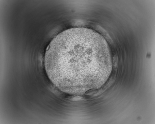 X0000102280669200808221305