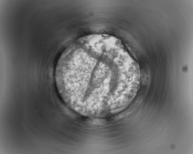 X0000102280670200808221305