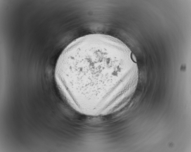 X0000102280671200808221305