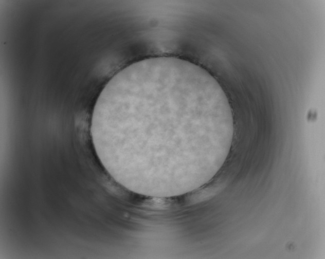 X0000102280672200808221305