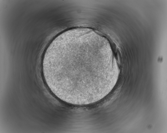 X0000102280673200808221305