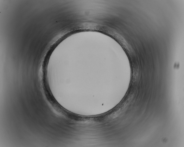 X0000102280674200808221305