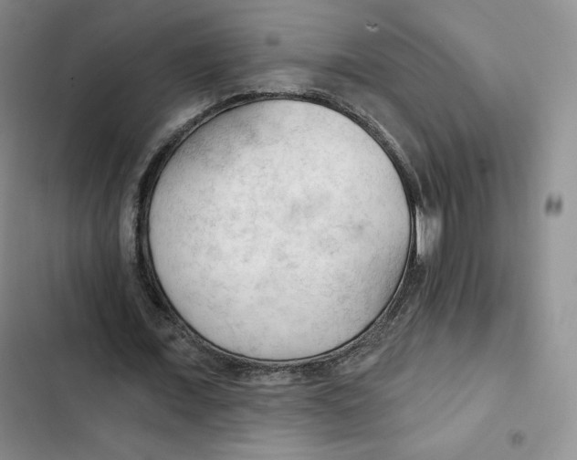 X0000102280675200808221305