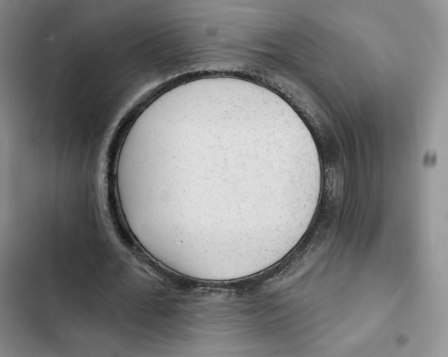 X0000102280676200808221305