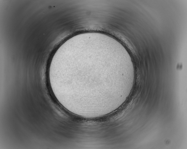 X0000102280677200808221305
