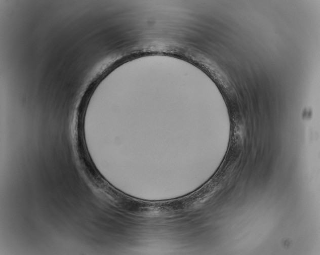 X0000102280678200808221305