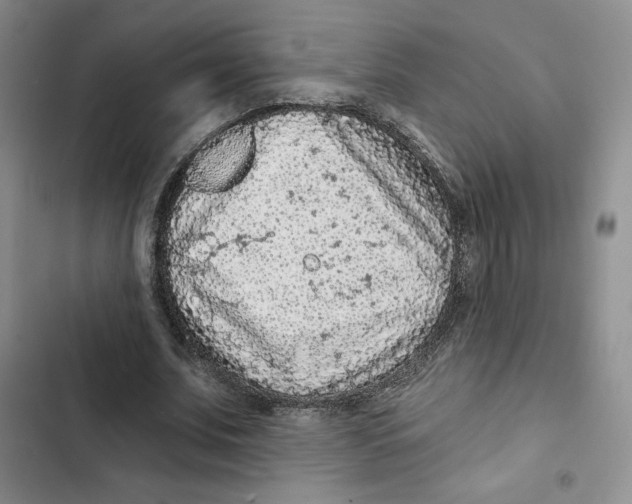 X0000102280679200808221305