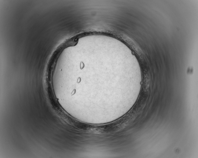 X0000102280680200808221305