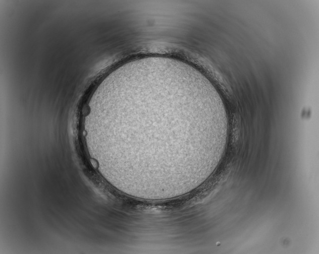 X0000102280683200808221304