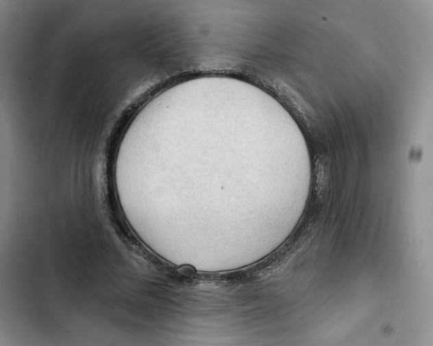 X0000102280684200808221304