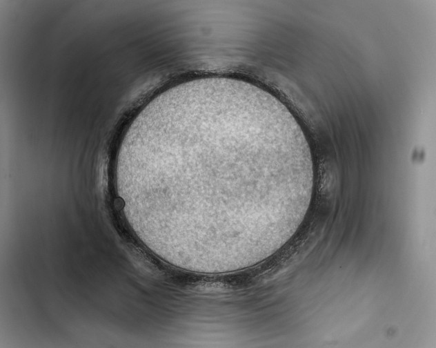 X0000102280685200808221304